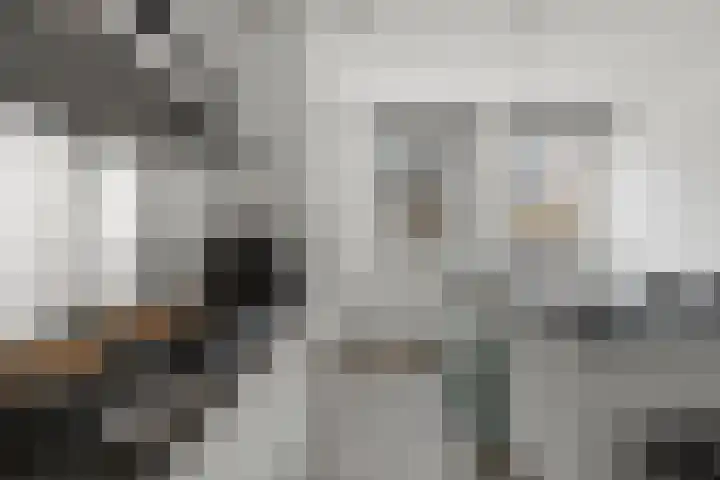 Het Pontveer 2 Diemen thumbnail 5