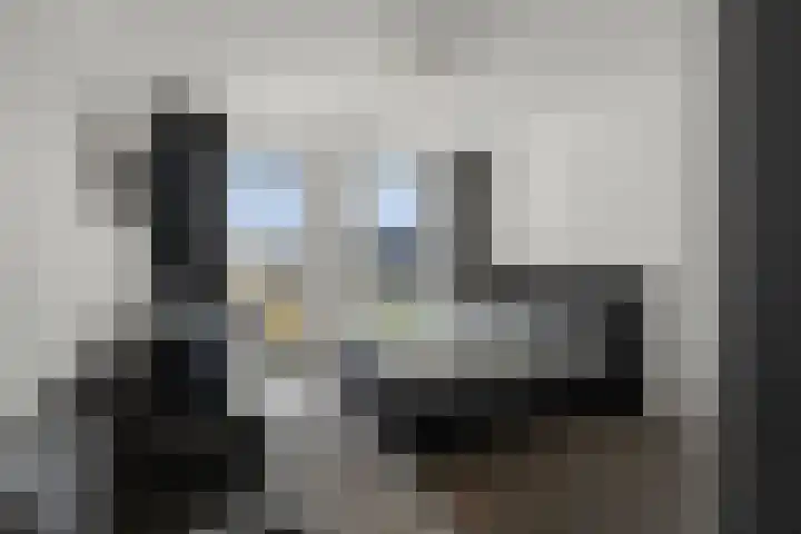 Het Pontveer 2 Diemen thumbnail 55