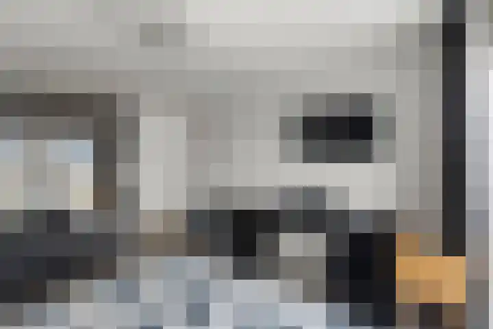 Het Pontveer 2 Diemen thumbnail 58