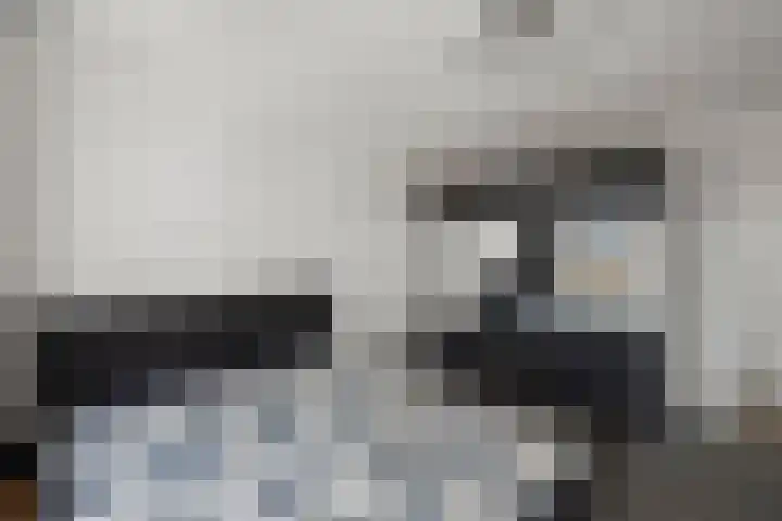Het Pontveer 2 Diemen thumbnail 59