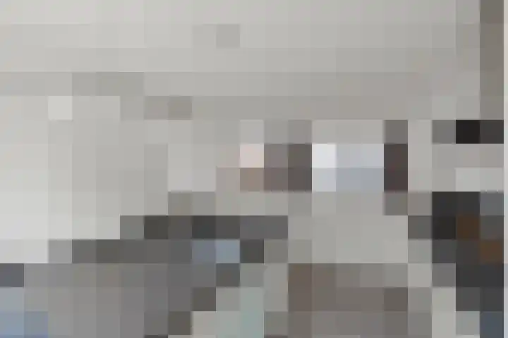 Het Pontveer 2 Diemen thumbnail 6