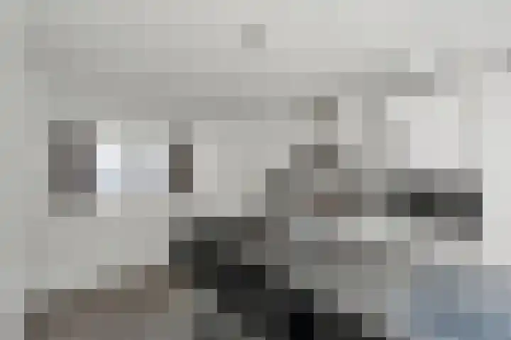 Het Pontveer 2 Diemen thumbnail 7