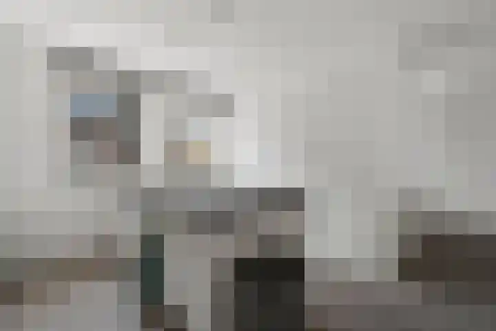 Het Pontveer 2 Diemen thumbnail 8