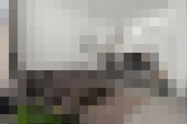 Het Pontveer 2 Diemen thumbnail 9