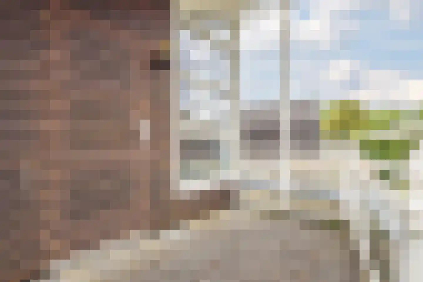 Het Prieel 23 Zutphen thumbnail 30