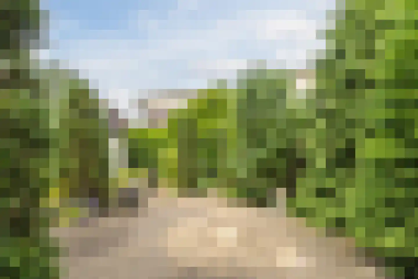Het Prieel 23 Zutphen thumbnail 31