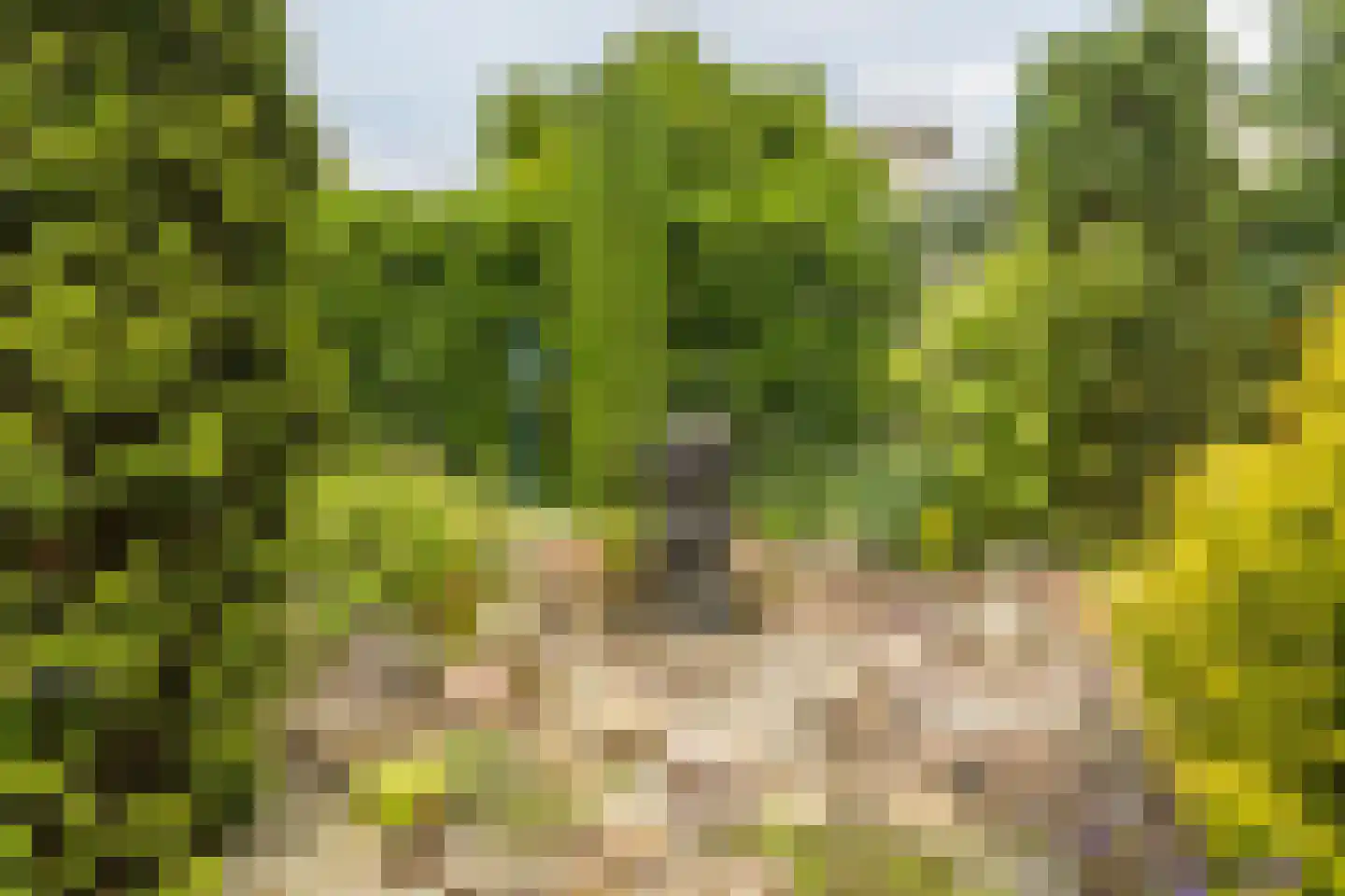 Het Prieel 23 Zutphen thumbnail 32