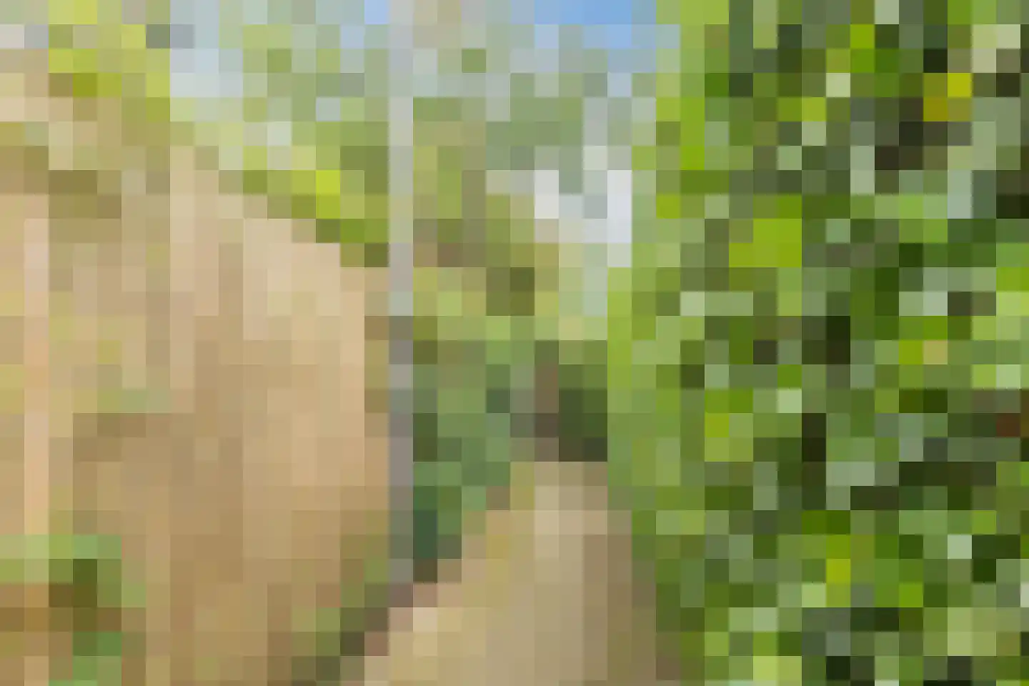 Het Prieel 23 Zutphen thumbnail 34