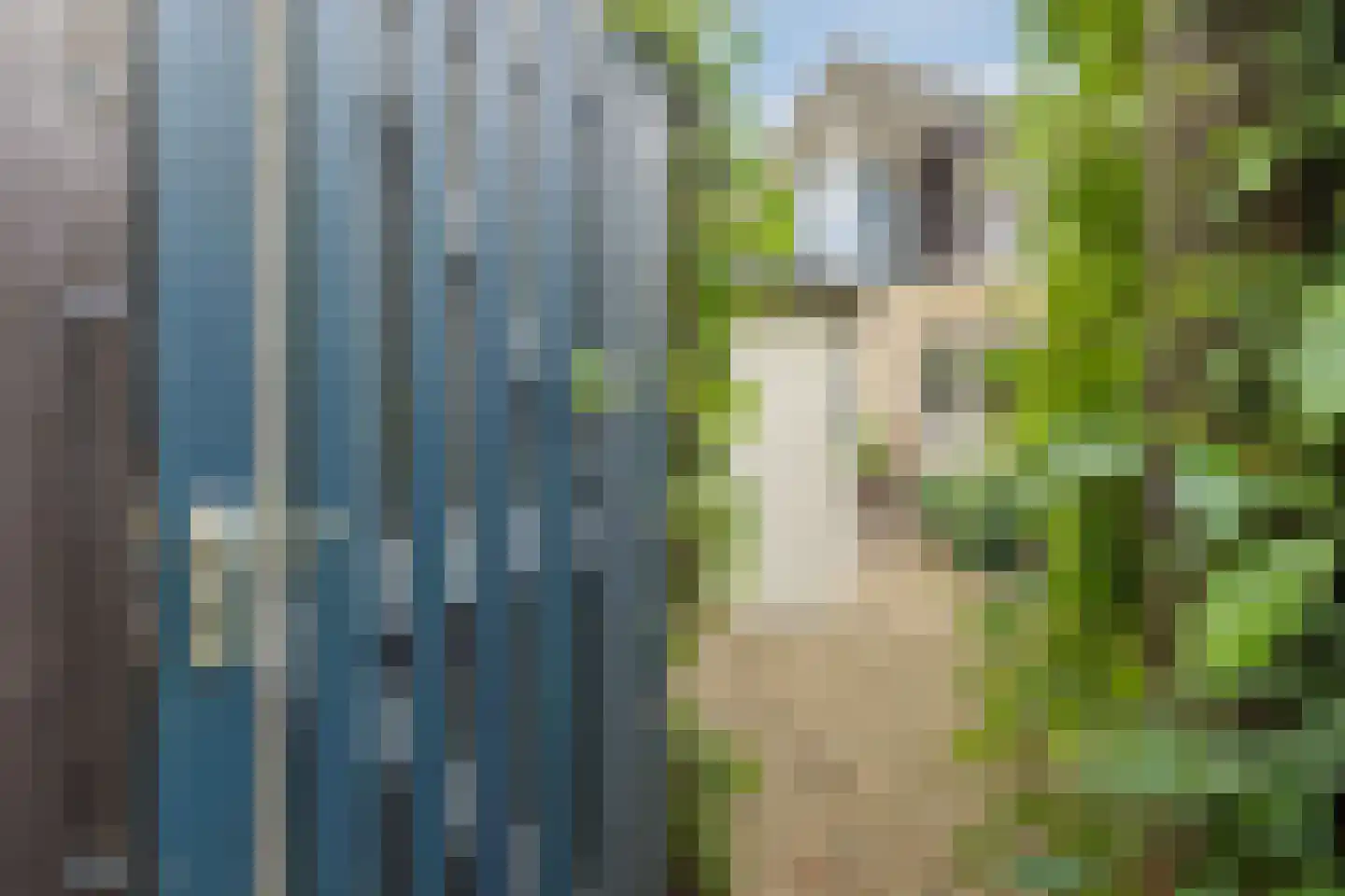 Het Prieel 23 Zutphen thumbnail 35