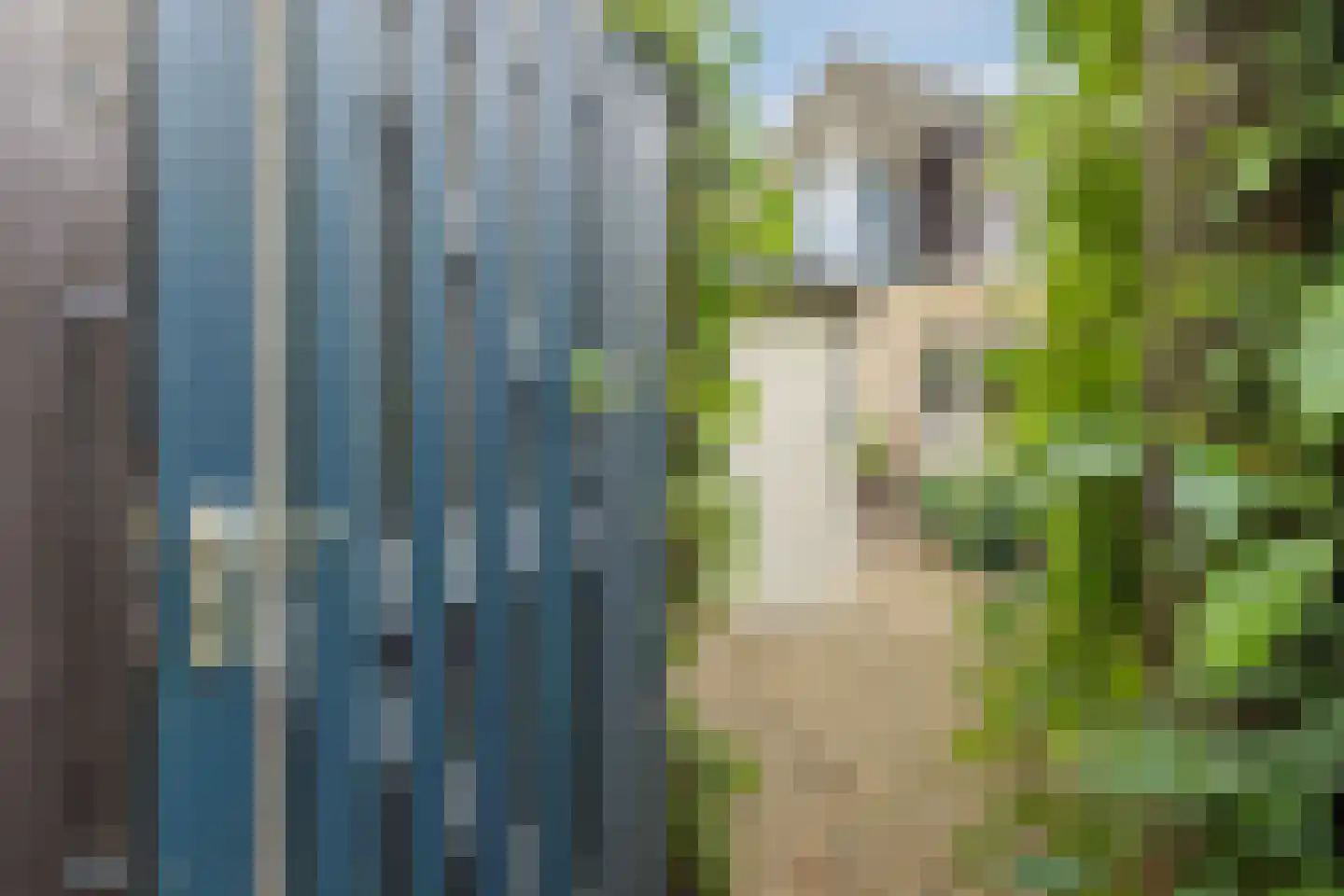 Het Prieel 23 Zutphen thumbnail 35
