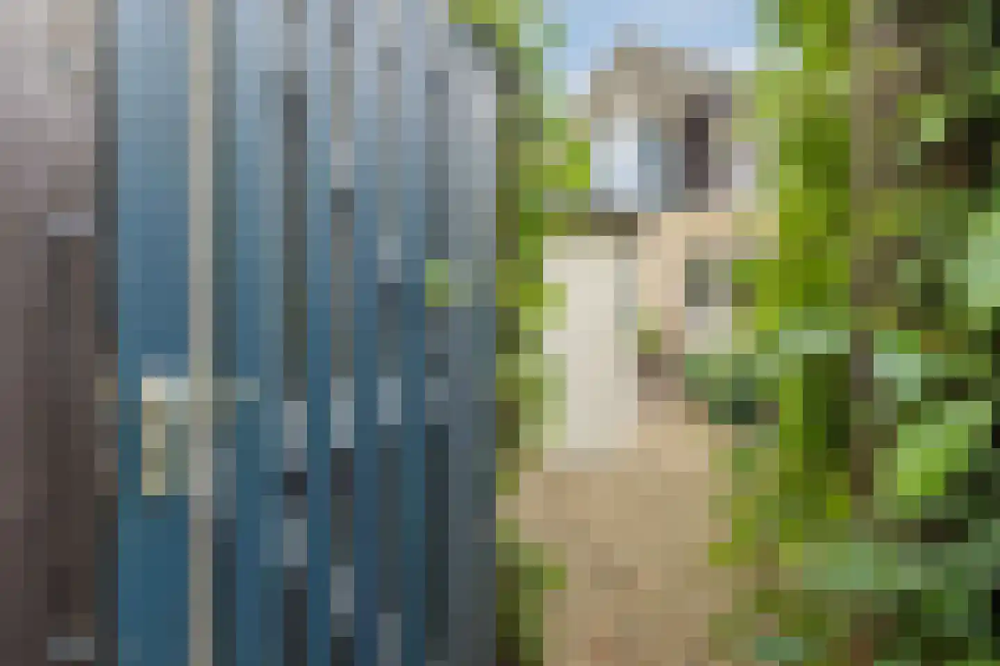 Het Prieel 23 Zutphen thumbnail 35