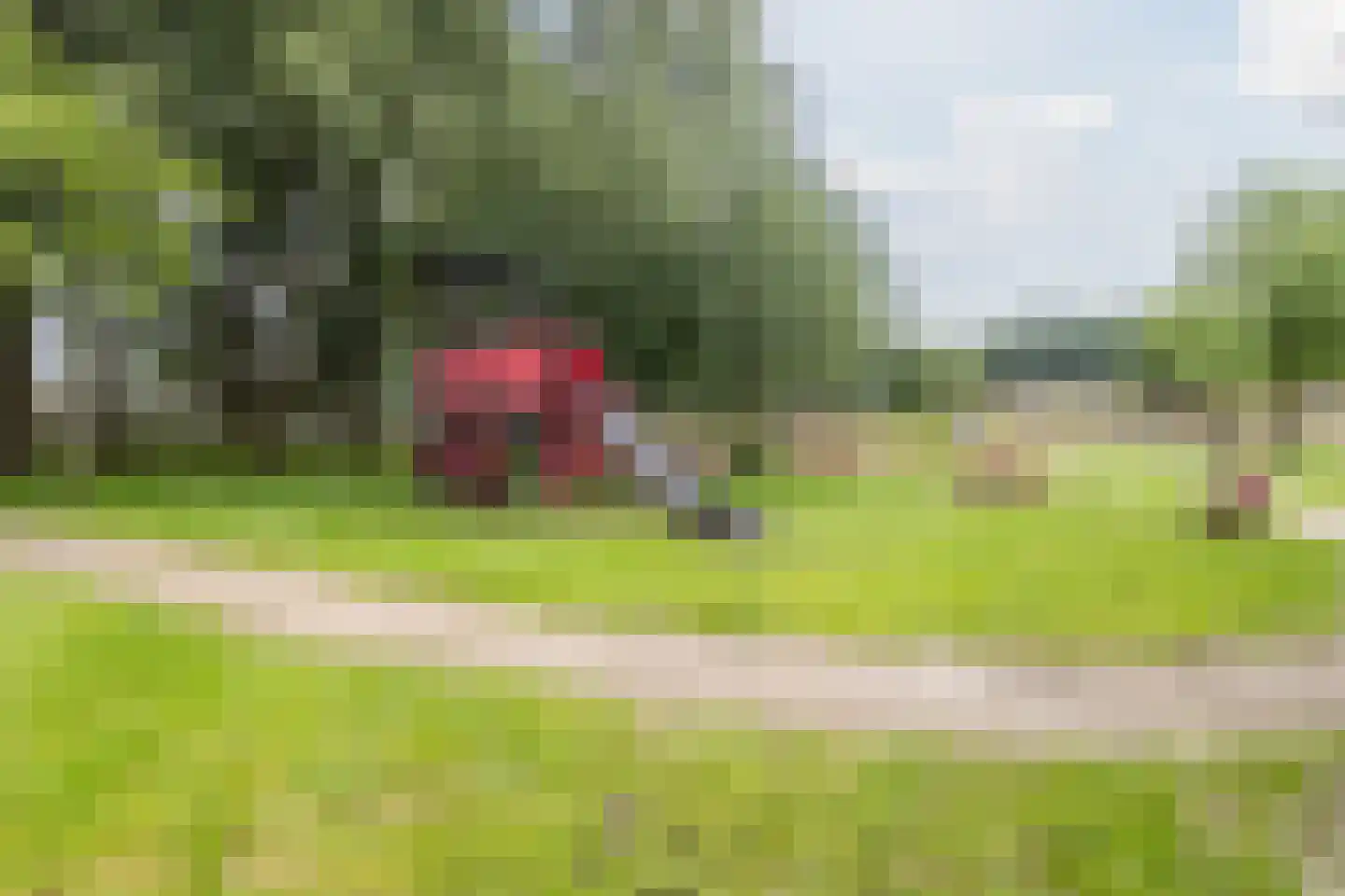 Het Prieel 23 Zutphen thumbnail 5