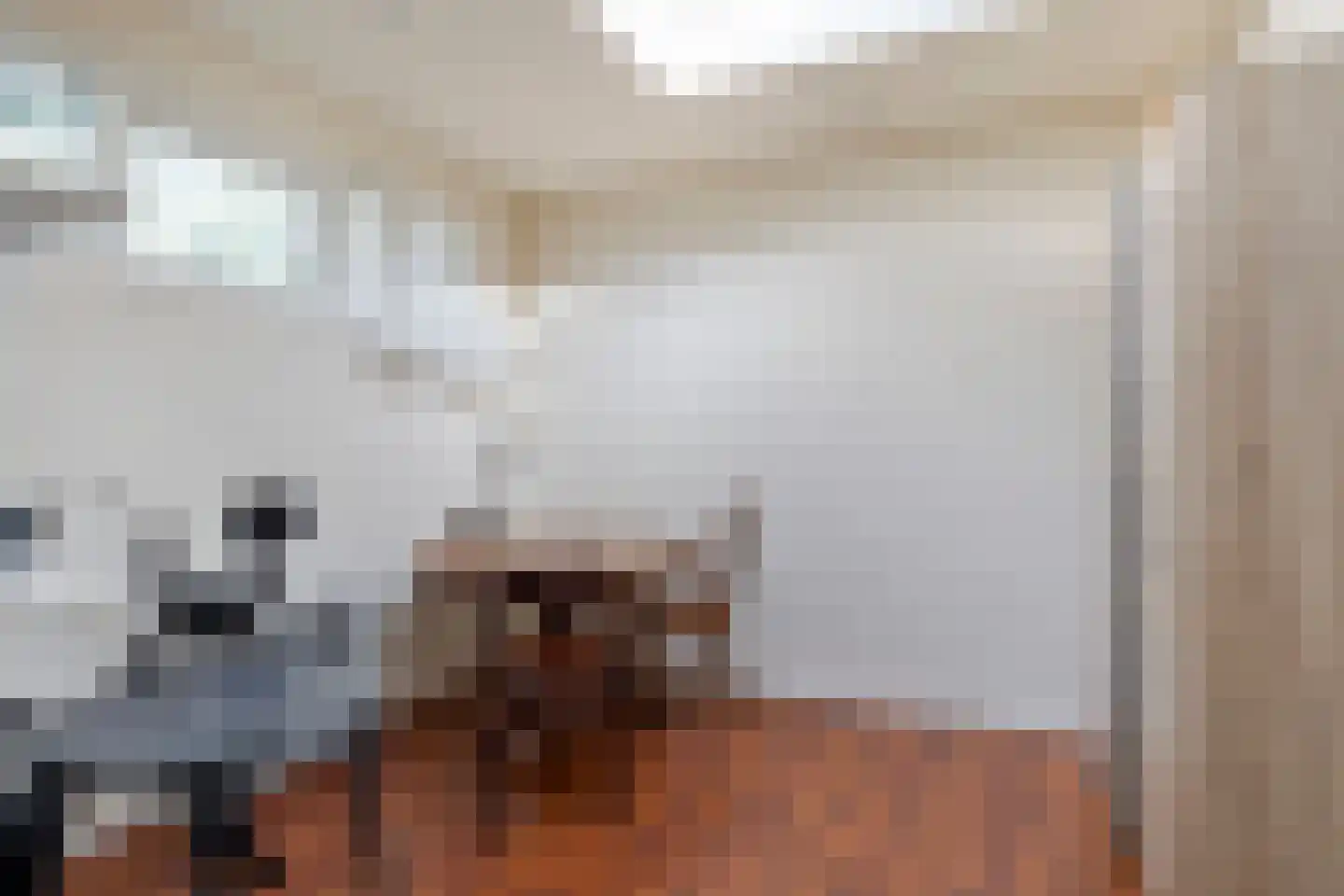 Het Prinsenhofstraat 29 Westzaan thumbnail 14