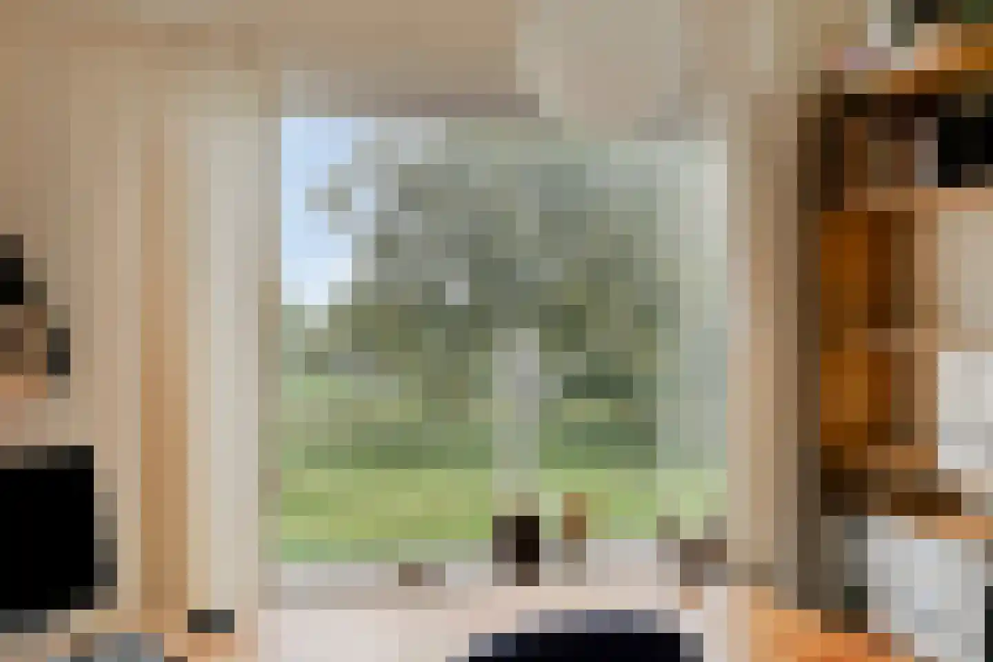 Het Prinsenhofstraat 29 Westzaan thumbnail 27