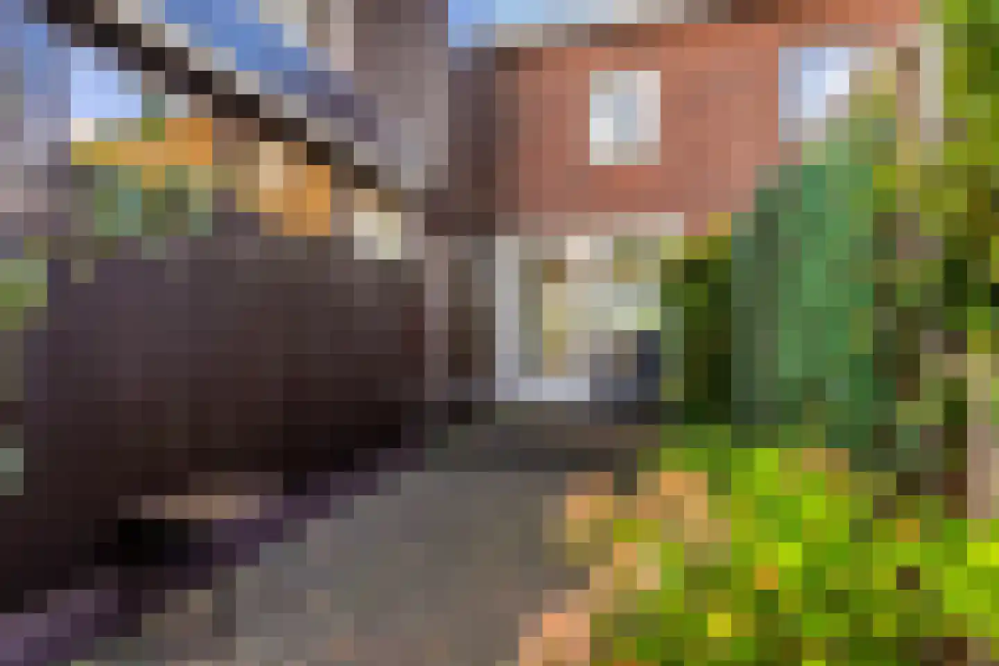Het Prinsenhofstraat 29 Westzaan thumbnail 28