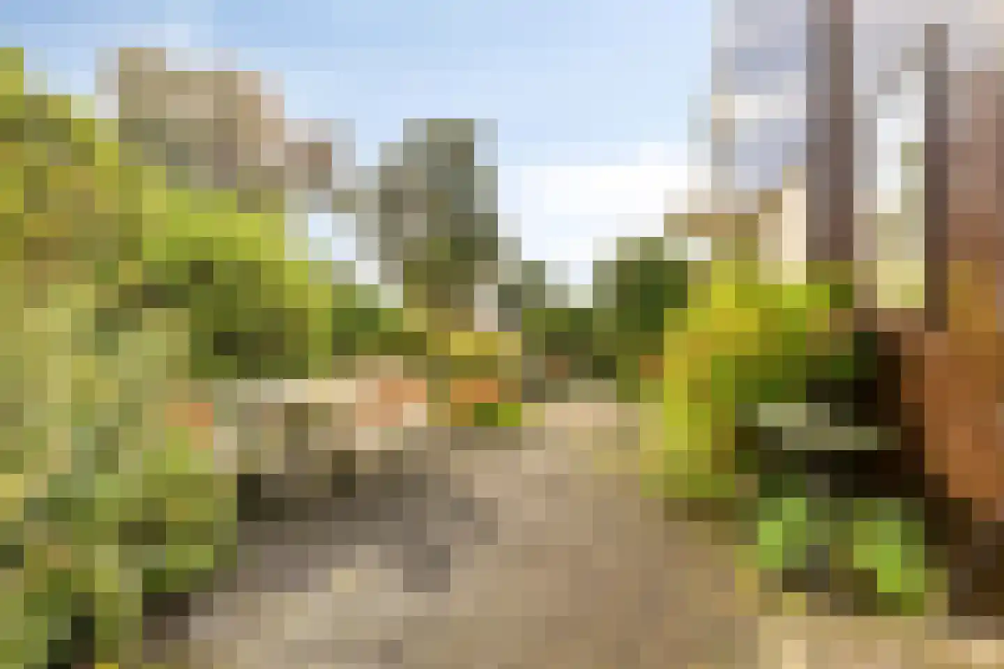 Het Prinsenhofstraat 29 Westzaan thumbnail 31