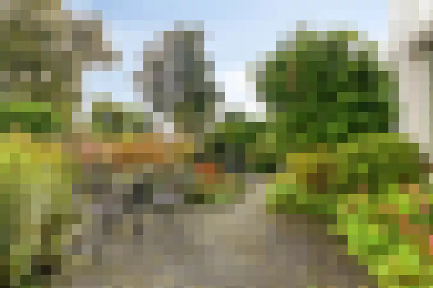 Het Prinsenhofstraat 29 Westzaan thumbnail 33