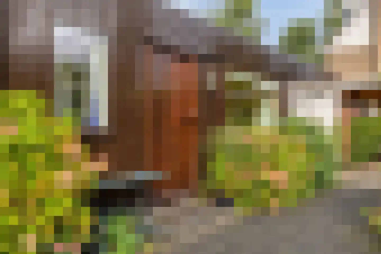 Het Prinsenhofstraat 29 Westzaan thumbnail 34