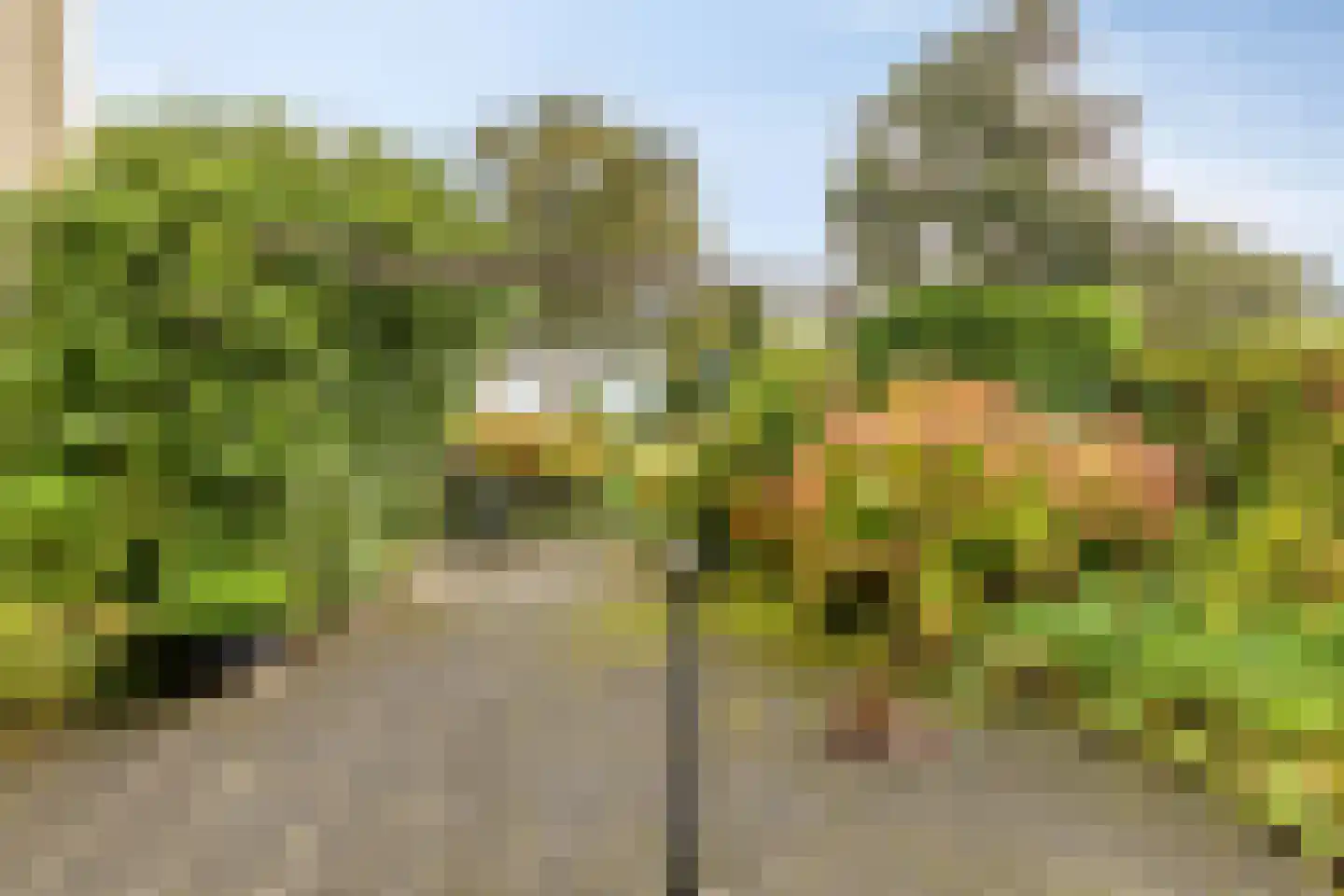Het Prinsenhofstraat 29 Westzaan thumbnail 35
