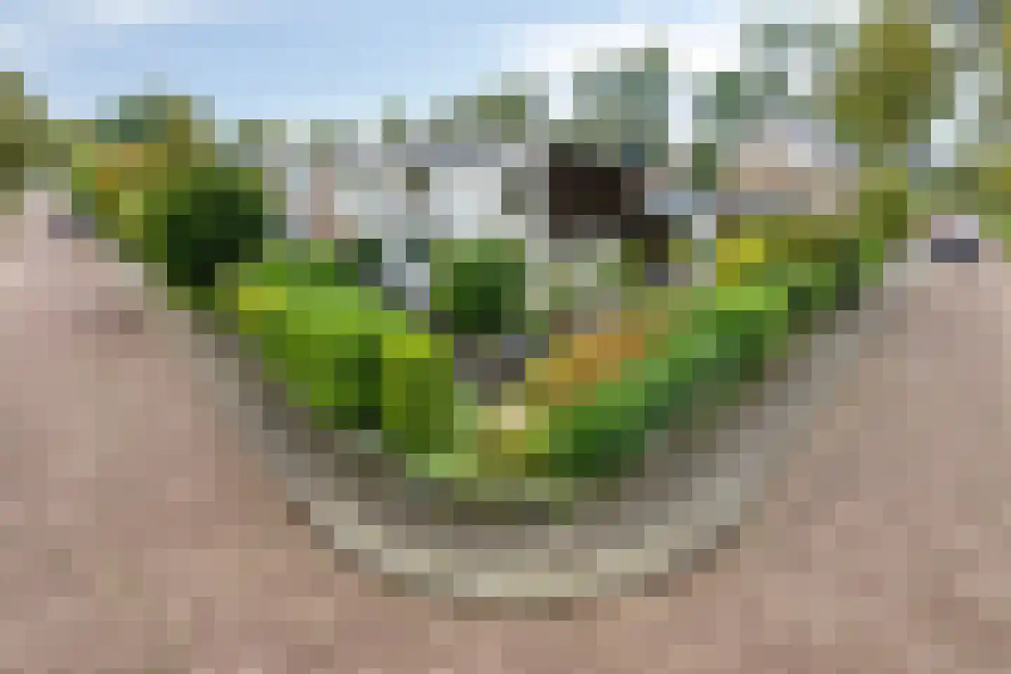 Het Prinsenhofstraat 29 Westzaan thumbnail 39