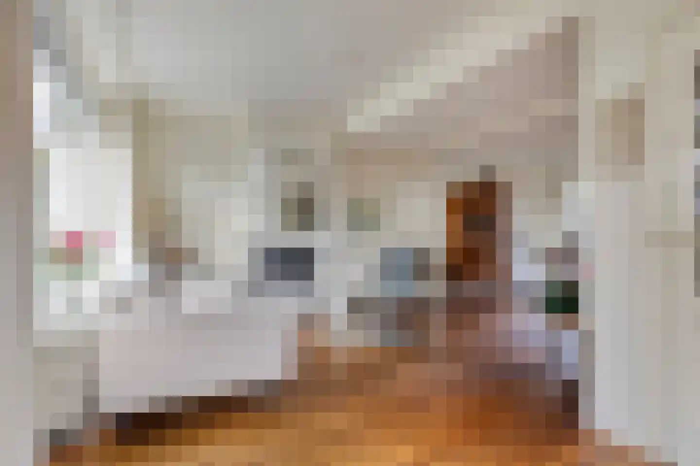 Het Prinsenhofstraat 29 Westzaan thumbnail 4
