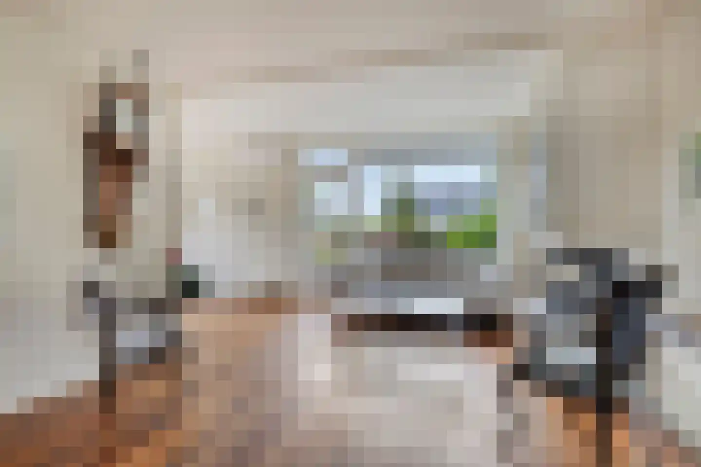 Het Prinsenhofstraat 29 Westzaan thumbnail 5