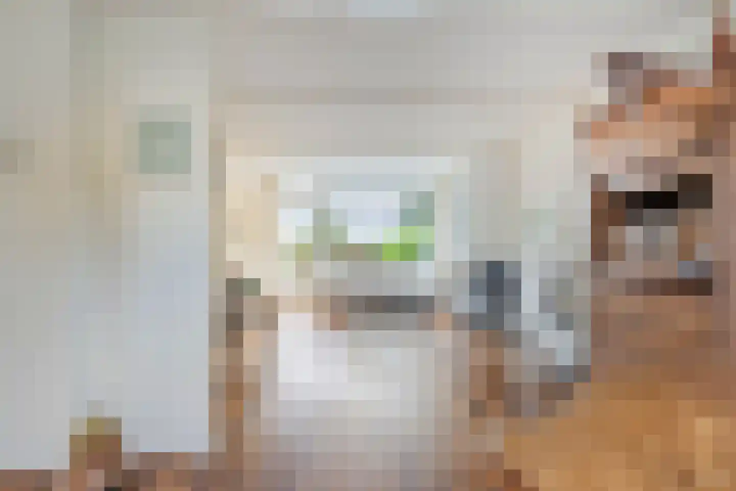 Het Prinsenhofstraat 29 Westzaan thumbnail 8