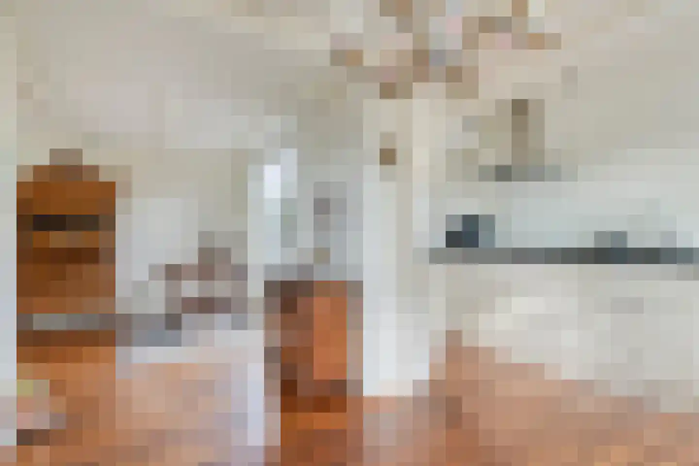 Het Prinsenhofstraat 29 Westzaan thumbnail 9