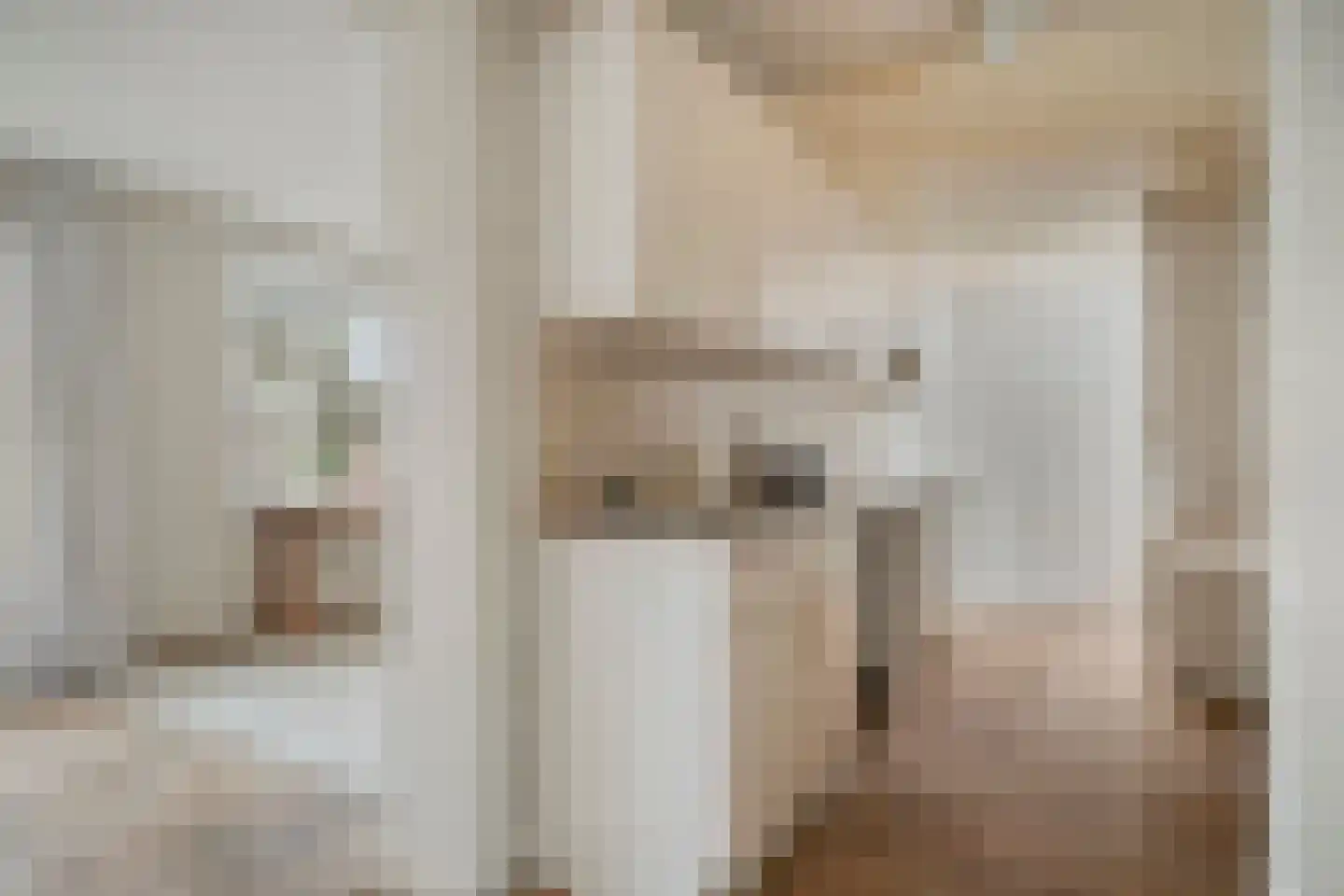 Het Puyven 16 Nuenen thumbnail 6