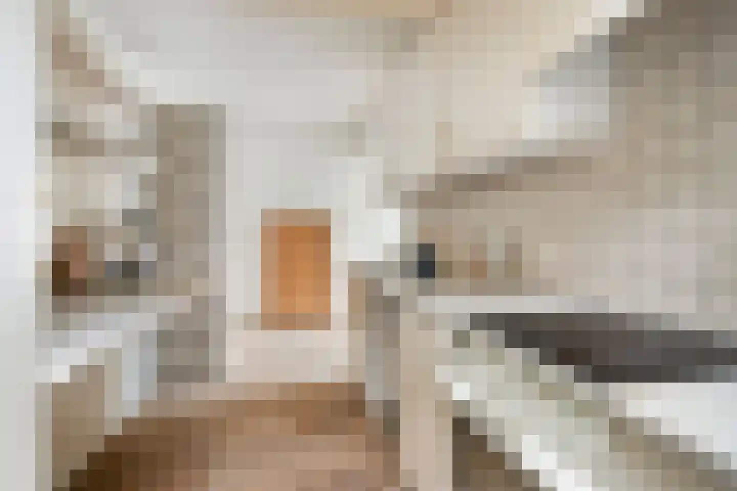 Het Puyven 16 Nuenen thumbnail 7