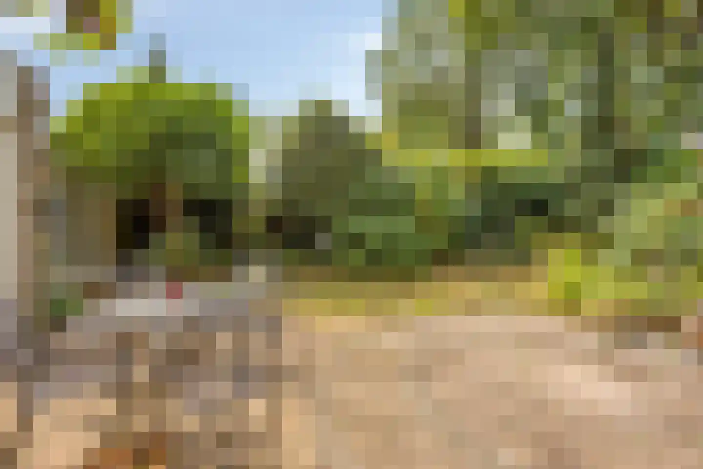 Het Puyven 2 Nuenen thumbnail 23