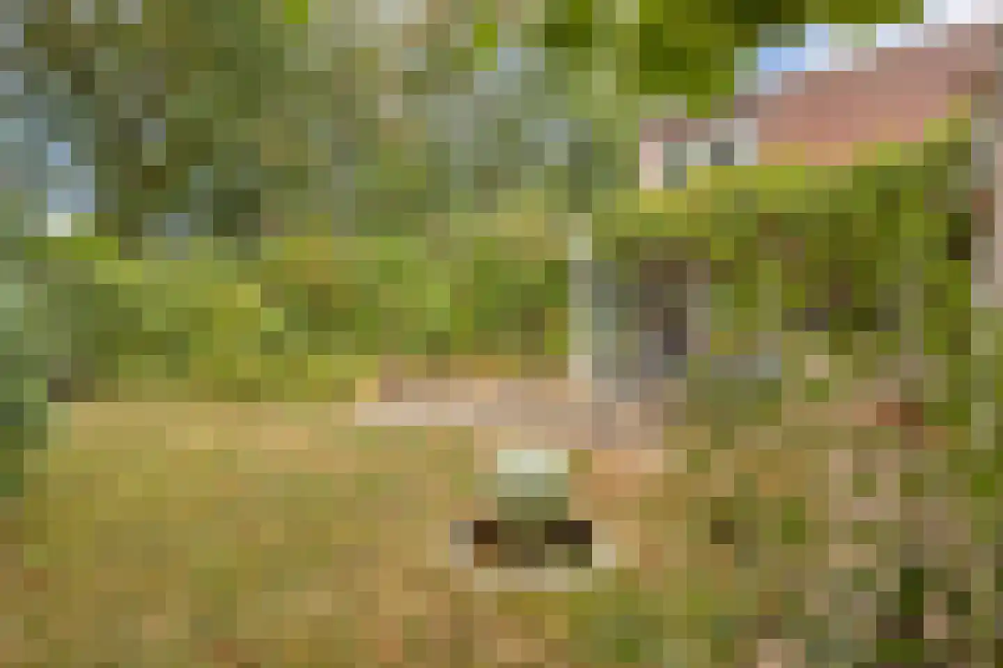 Het Puyven 2 Nuenen thumbnail 26