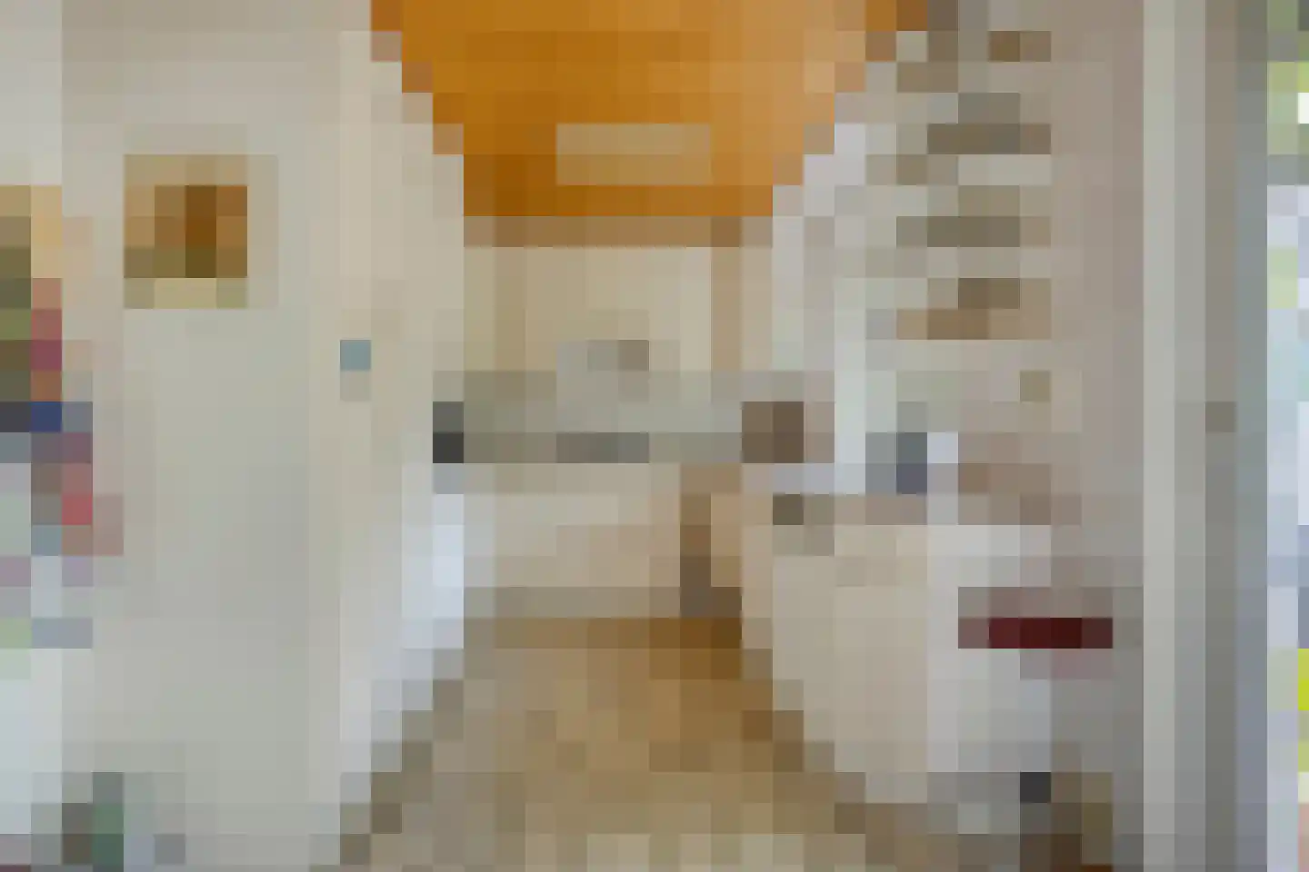 Het Puyven 2 Nuenen thumbnail 4