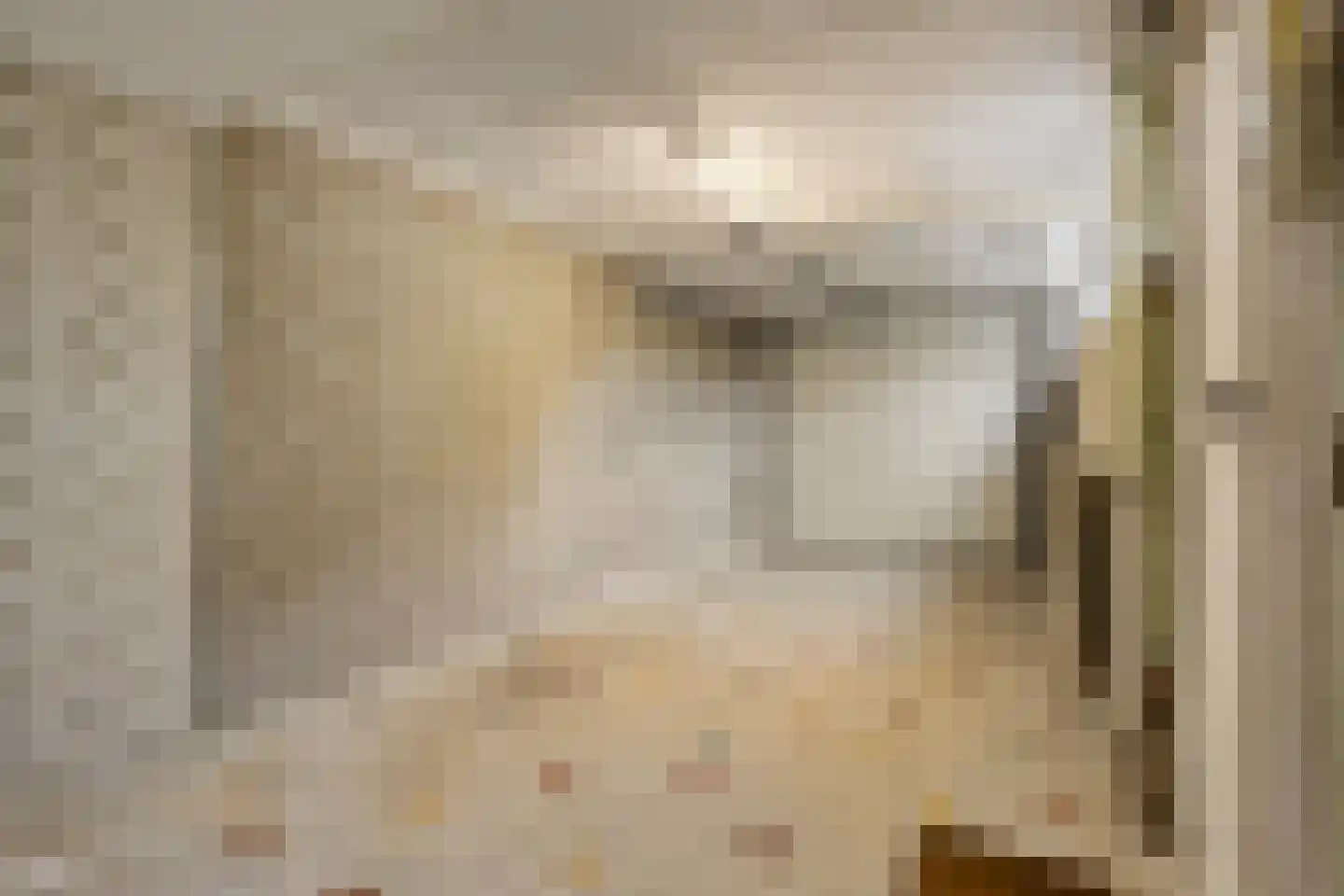 Het Puyven 32 Nuenen thumbnail 17