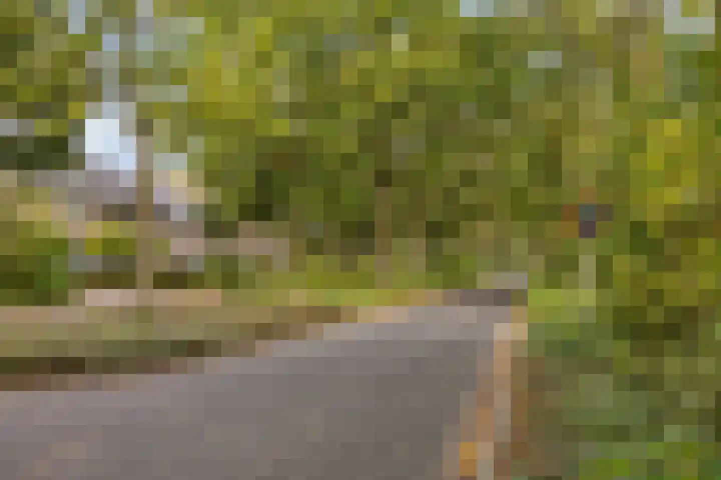 Het Puyven 32 Nuenen thumbnail 28