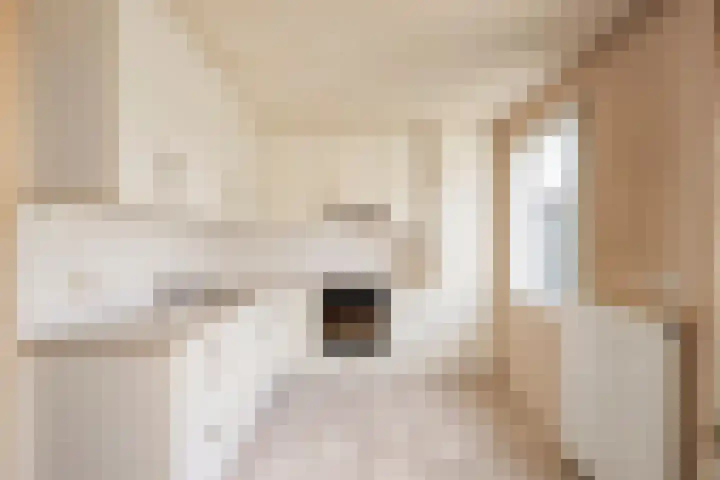 Het Puyven 43 Nuenen foto 3