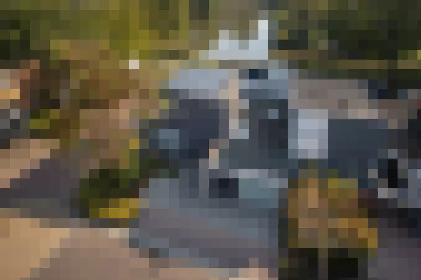 Het Puyven 59 Nuenen thumbnail 41
