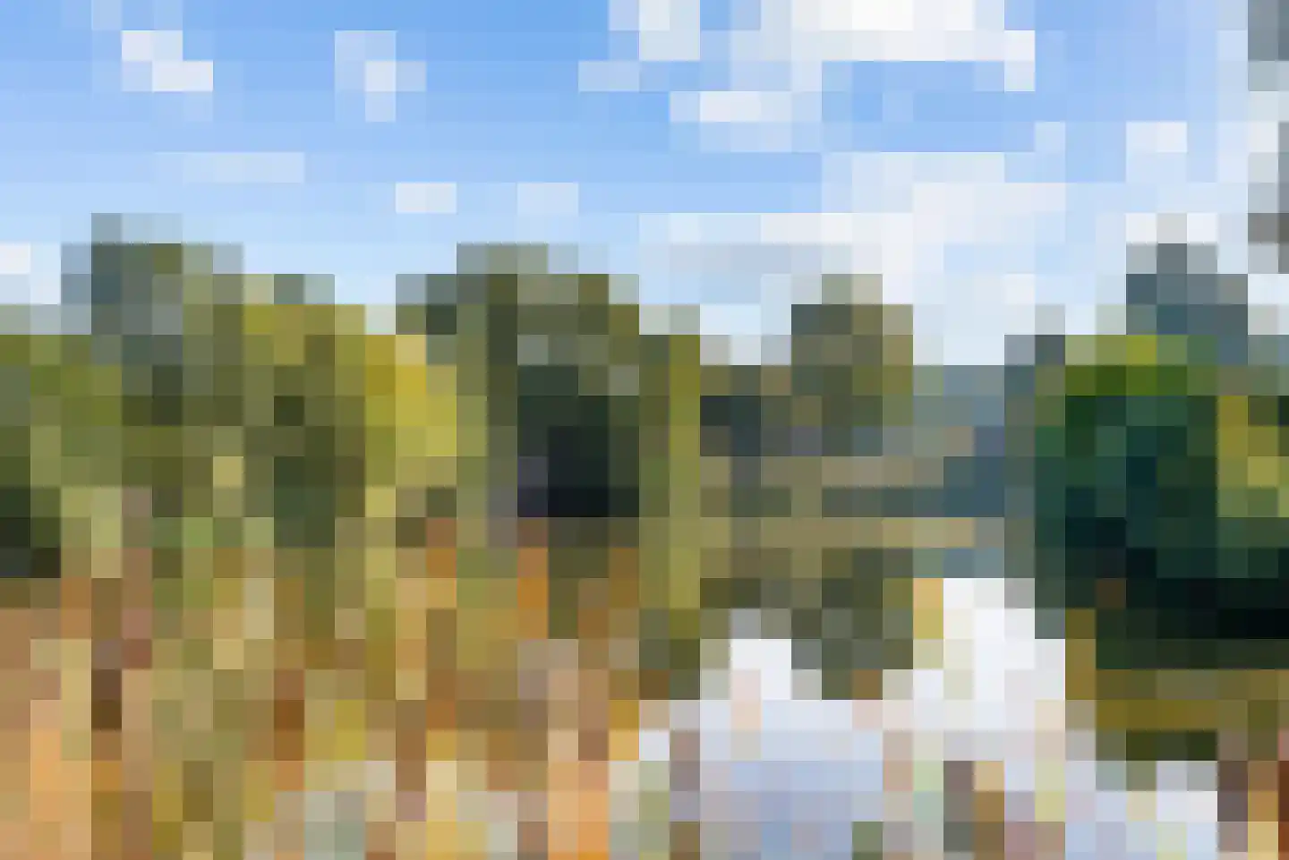 Het Puyven 59 Nuenen thumbnail 43