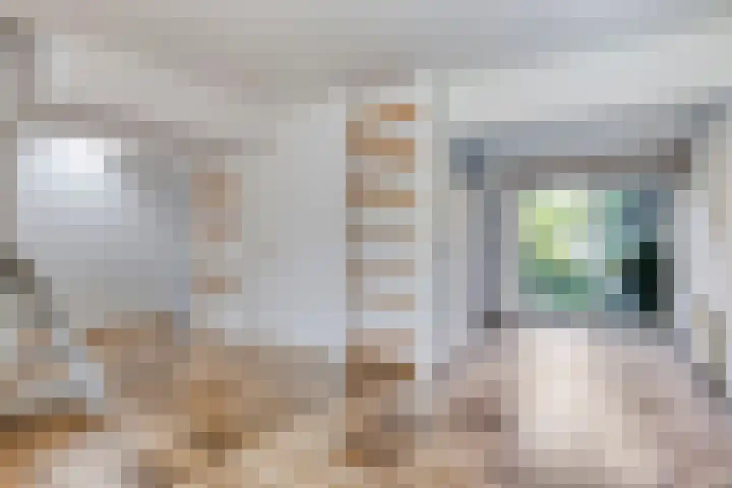 Het Puyven 88 Nuenen thumbnail 17