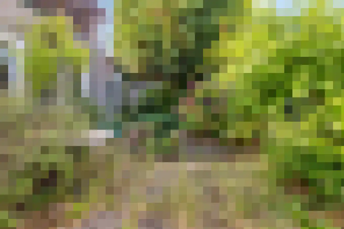 Het Puyven 88 Nuenen thumbnail 36