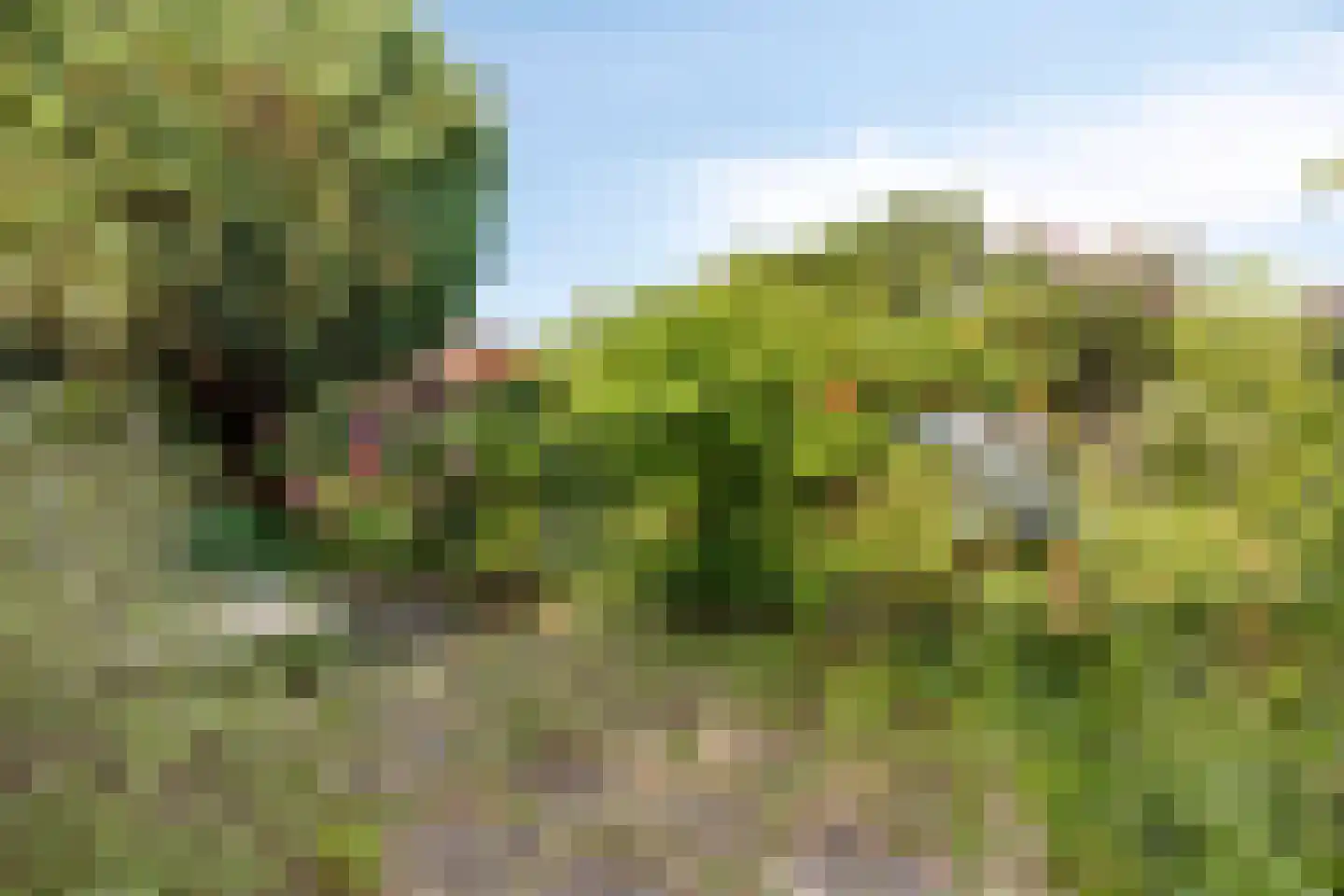 Het Puyven 88 Nuenen thumbnail 37