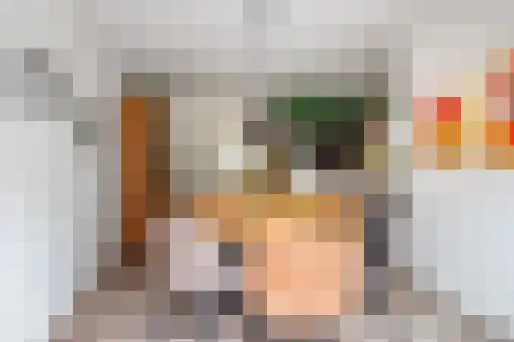 het Rabelink 18 Breedenbroek thumbnail 15