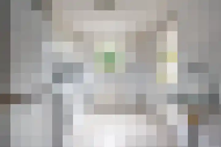 het Rabelink 18 Breedenbroek thumbnail 17