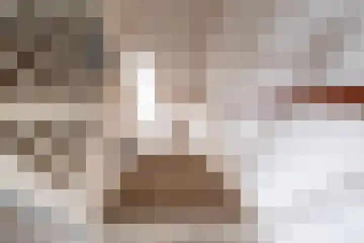 het Rabelink 18 Breedenbroek thumbnail 19