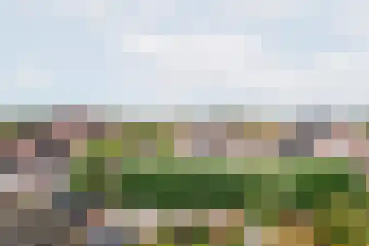 het Rabelink 18 Breedenbroek thumbnail 35