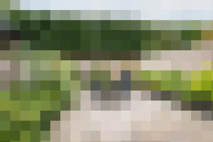 het Rabelink 18 Breedenbroek thumbnail 37