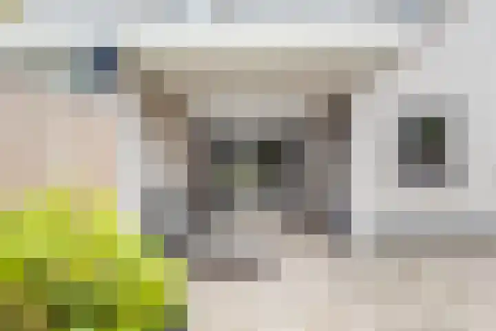 het Rabelink 18 Breedenbroek thumbnail 38