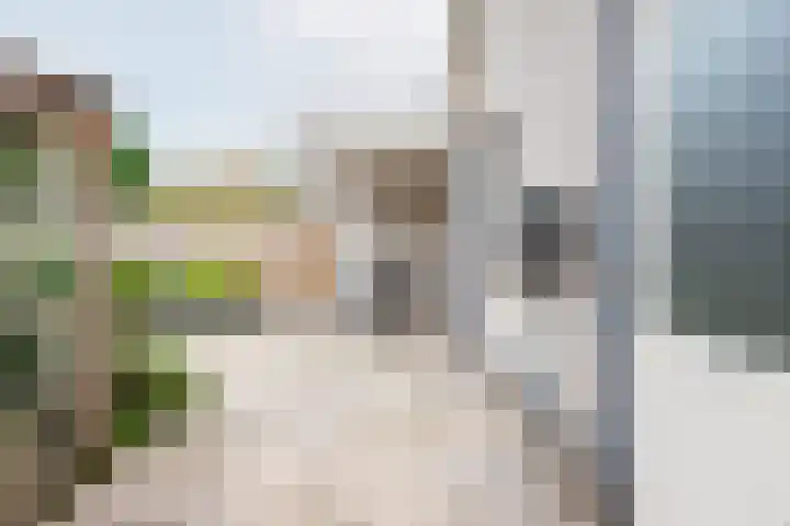 het Rabelink 18 Breedenbroek thumbnail 39