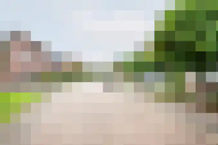 het Rabelink 18 Breedenbroek thumbnail 41