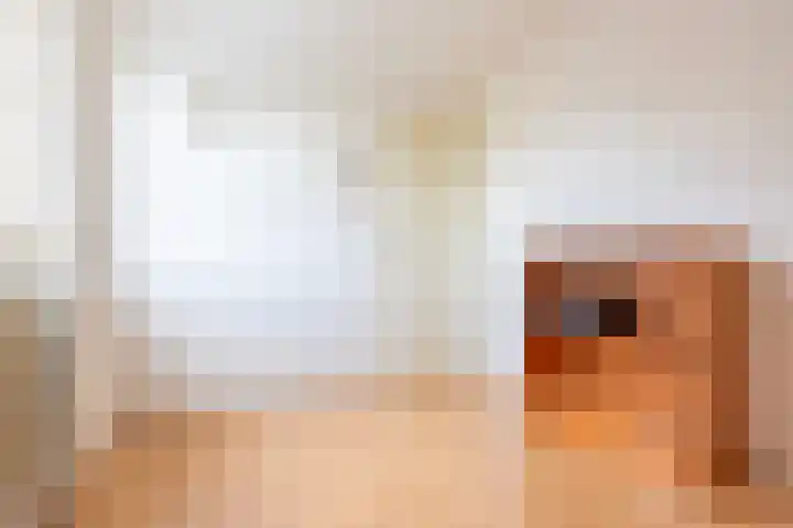 het Rabelink 22 Breedenbroek thumbnail 26
